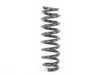 ES#58974 - 33536767346 - Coil Spring - Genuine BMW - BMW
