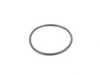 ES#2867274 - 11531713040S1 - Thermostat - 80C - Includes sealing O-ring - Febi - BMW