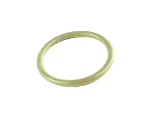 Coolant Flange O-Ring