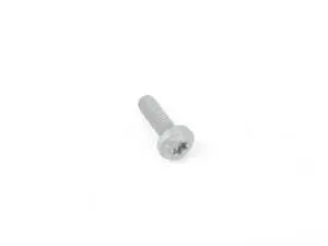 Torx Head Screw - Priced Each