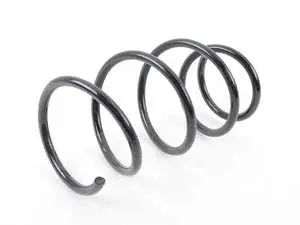 Front Coil Spring