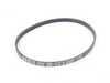 ES#2733669 - 11287848606 - Accessory belt  - Water pump belt - Genuine BMW - BMW