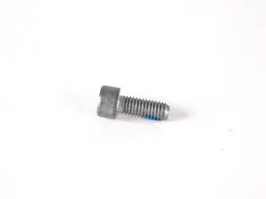 Fillister Head Screw (M6X16)