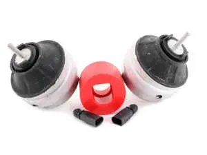 Complete Density Line Performance Motor Mount Kit