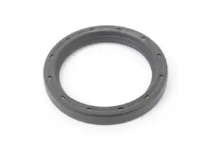 Shaft Seal