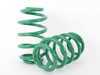 ES#3253494 - SKG70-AUB00 - S-Tech Sport Springs - Set - Aggressive looks with high performance handling - Tein - Audi