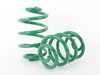 ES#3253494 - SKG70-AUB00 - S-Tech Sport Springs - Set - Aggressive looks with high performance handling - Tein - Audi