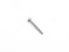 ES#3353132 - N10712001 - Torx Head Screw - Priced Each - 4.2X - Genuine Porsche - Porsche