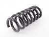 ES#3403340 - 2513240104 - HELICAL SPRING - Genuine Mercedes Benz - Mercedes Benz