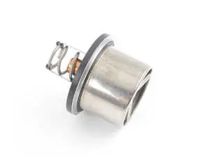 Thermostat - 71C