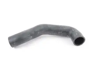 Lower Radiator Hose