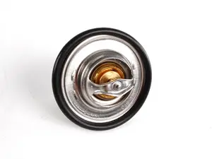 Thermostat (87°C)