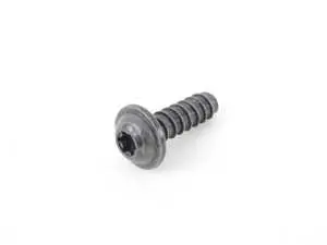 Torx Screw - Priced each