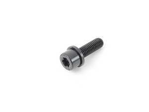 ES#25844 - 11617573828 - TORX BOLT - Genuine BMW - BMW