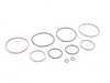 ES#3221108 - 012017ECS - Build-Your-Own ECS M54/M52TU Dual VANOS Rebuild Kit - Restore lost power by replacing worn VANOS seals with a superior material. Our instructional PDF shows you how to DIY! - ECS - BMW