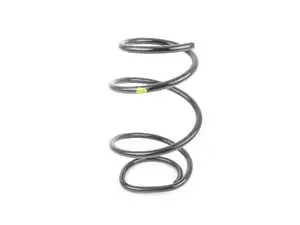 Front Coil Spring 