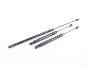 Hood And Hatch Strut Kit