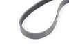ES#2955500 - 06K260849A - Accessory Belt - Recommended to be replaced at the first sign of cracking - Genuine Volkswagen Audi - Volkswagen