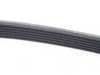 ES#2955500 - 06K260849A - Accessory Belt - Recommended to be replaced at the first sign of cracking - Genuine Volkswagen Audi - Volkswagen