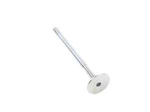 ES#2873736 - 11347502351 - Exhaust Valve - Priced Each - Standard replacement Exhaust valve - Febi - Audi BMW Volkswagen Mercedes Benz MINI Porsche
