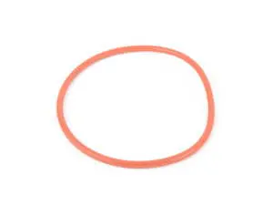 Fuel Pump O-Ring