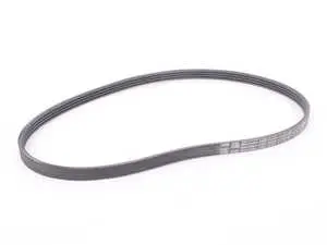 Serpentine Drive Belt