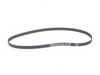 ES#2800544 - 056109119A - Timing Belt - Replacement toothed timing belt - Continental - Volkswagen Porsche