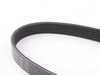 ES#2800587 - 6K923 - Accessory Drive Belt - For cars without factory A/C - Continental - Volkswagen