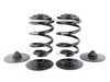ES#3427343 - e46m3rspringsKT - Rear Spring Replacement Kit - Includes new springs and spring pads - Assembled By ECS - BMW