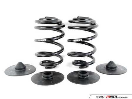 ES#3427343 - e46m3rspringsKT - Rear Spring Replacement Kit - Includes new springs and spring pads - Assembled By ECS - BMW