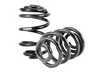 ES#3427343 - e46m3rspringsKT - Rear Spring Replacement Kit - Includes new springs and spring pads - Assembled By ECS - BMW