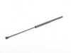 ES#2834628 - 076726 - Hatch Strut - Priced Each - Left or right side fitment - Two required - Stabilus - Porsche