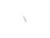 ES#254360 - 13627811934 - GASKET RING - Genuine BMW - BMW