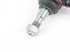 ES#3219842 - 443505351P - Rear Tie Arm - Left - Camber adjustment for rear suspension - Lemforder - Audi