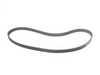 ES#2730409 - 054109119G - Timing Belt  - The most important belt on your engine - Continental - Audi