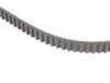 ES#2730409 - 054109119G - Timing Belt  - The most important belt on your engine - Continental - Audi
