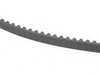 ES#2730409 - 054109119G - Timing Belt  - The most important belt on your engine - Continental - Audi
