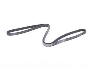 Serpentine Belt