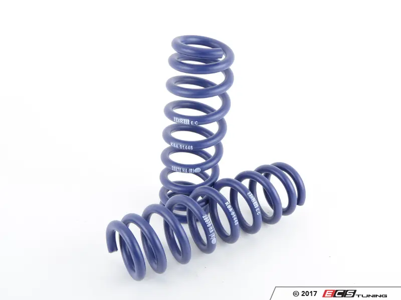 Kit Molle H&R 28878-4 Per BMW Serie 3 F31/F34/F33 – Ribasso 20-30 Mm, Omologazione ABE, Carico 966 Kg