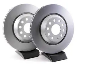 Rear Brake Rotors - Pair (310x22)