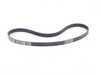 ES#2993804 - 11288613707 - Accessory Belt - Drives the alternator, water pump, and power steering pump - Genuine BMW - BMW