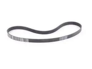 Accessory Belt