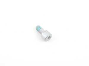ES#2135879 - 34206786055 - TORX BOLT - Genuine BMW - BMW