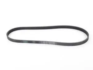 Accessory Belt