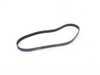 ES#3418785 - 11287838200 -  Air Conditioning Drive Belt - Drives the air conditioning compressor - Continental - BMW