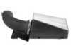 ES#3020653 - 51-12712 - Magnum FORCE Pro DRY S Stage-2 Intake System - Upgrade your intake to aFe - AFE - MINI