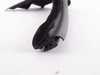 ES#1894300 - 51377046123 - INNER CHANNEL SEALIN - Genuine BMW - BMW