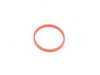 ES#2165472 - 11617528340 - PROFILE-GASKET - Genuine BMW - 