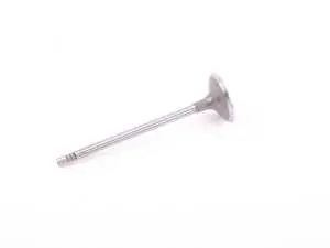 Intake Valve - Priced Each