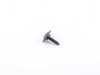 ES#3241429 - 9A700751700 - Tapping Torx Screw - Priced Each - 4.8 x 19mm - Genuine Porsche - Audi BMW Volkswagen Mercedes Benz MINI Porsche